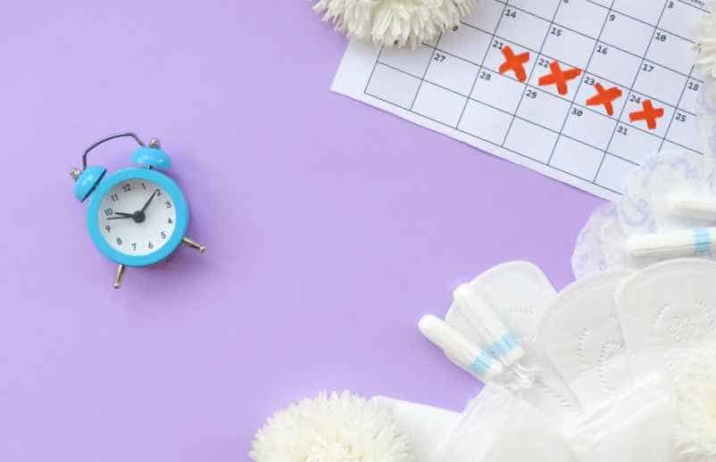 Cycle irrégulier : comment repérer sa fenêtre de fertilité ?-Lulu Nature