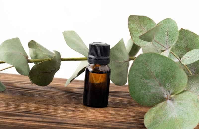 L'arnica et les huiles essentielles pour calmer la douleur-Lulu Nature
