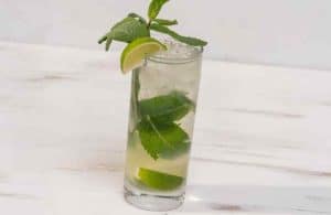 Quels sont les inconvénients de la menthe pour la santé ? Lulu Nature