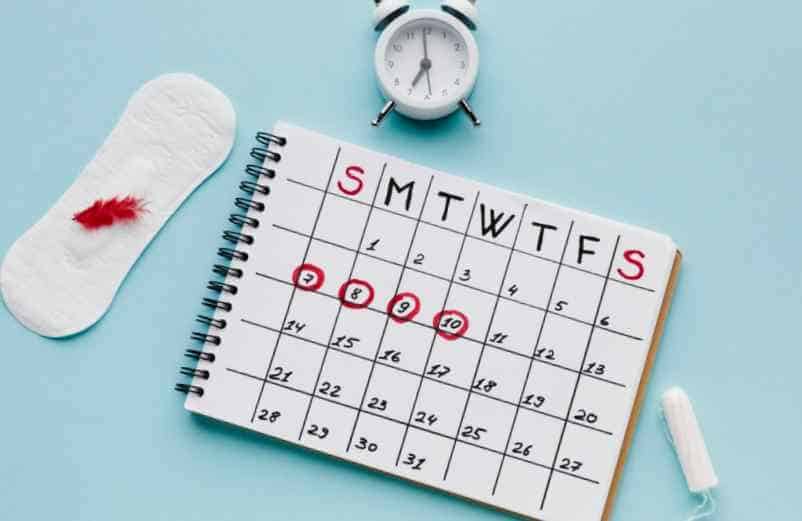 Les pertes blanches, un indicateur clé de votre cycle menstruel Lulu Nature