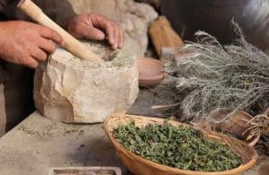 Remède de grand-mère pour nettoyer le foie naturellement Lulu Nature