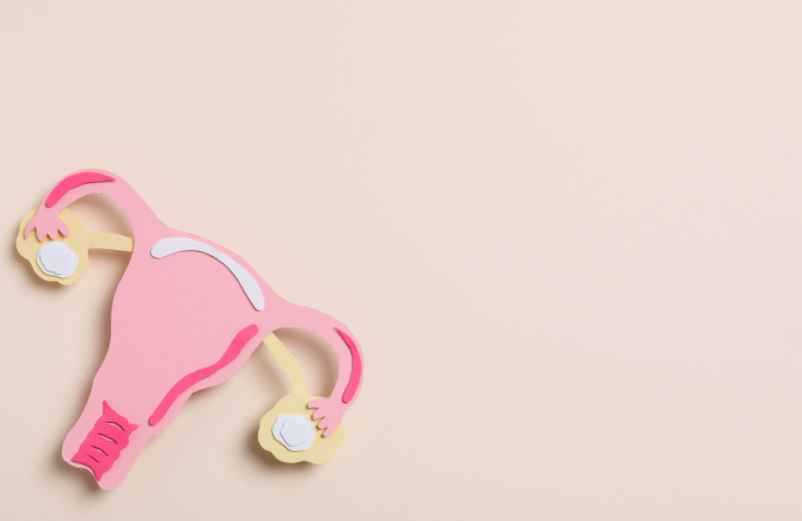 Le calendrier des premiers signes cliniques-Lulu Nature