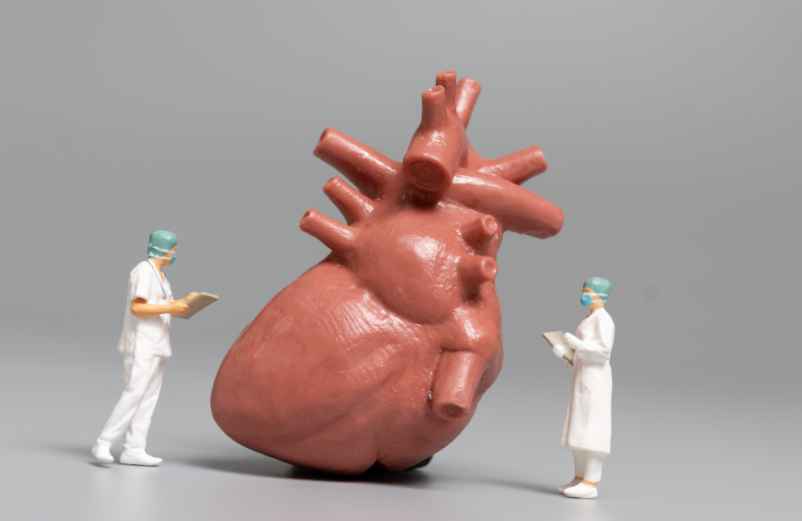 Quel traitement pour un anévrisme de l'aorte ?-Lulu Nature