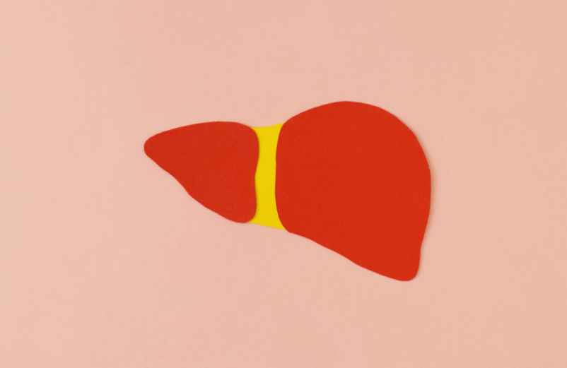 Quels sont les symptômes qui indiquent qu’il faut nettoyer votre foie ?-Lulu Nature Quels sont les symptômes qui indiquent qu’il faut nettoyer votre foie ?-Lulu Nature