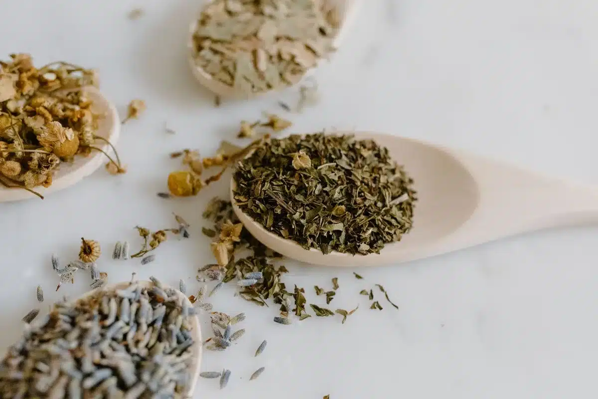 Différentes plantes séchées pour tisanes : menthe, gingembre, camomille et fenouil