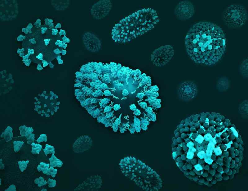 Pourquoi le microbiote est l'allié secret des familles face aux périodes intenses ? Lulu Nature